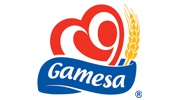 CONSULTORA AEMR